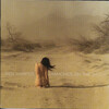 Cover for Diamonds on the Inside by Ben Harper
